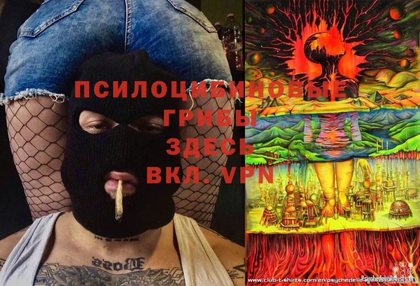 стаф Зеленодольск