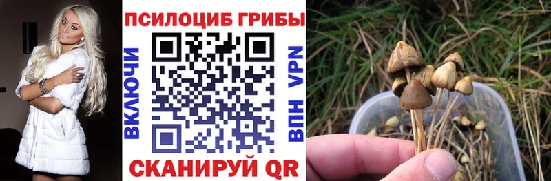 Галлюциногенные грибы мухоморы hydra онион Советск