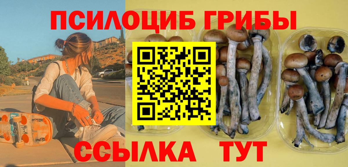 Галлюциногенные грибы ЛСД  Вход с VPN  Псилоцибиновые грибы Psilocybe  Советск 