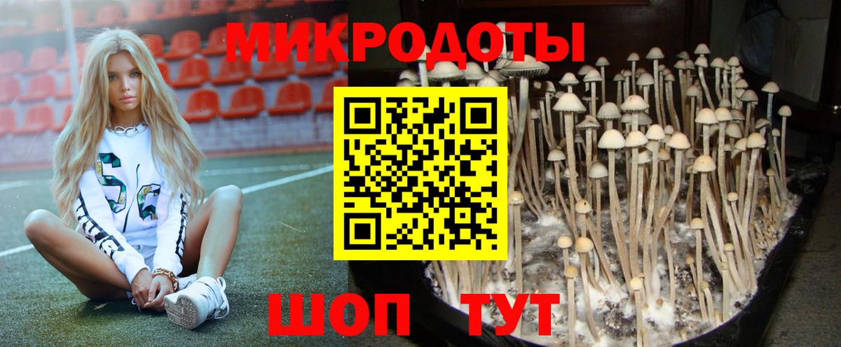 Псилоцибиновые грибы прущие грибы Советск